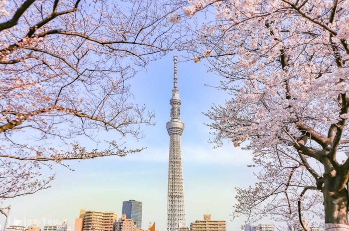 東京自由行