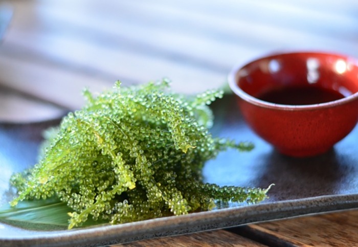 日本度蜜月推薦