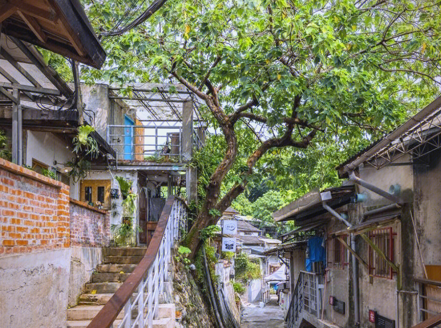 金面山 金面山